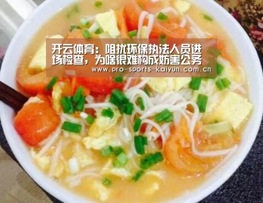开云体育:阻扰环保执法人员进场检查,为啥很难构成妨害公务罪?(图2) 开元