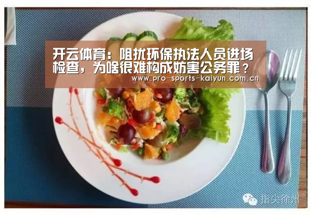 开云体育:阻扰环保执法人员进场检查,为啥很难构成妨害公务罪?(图3) 开元棋牌官网